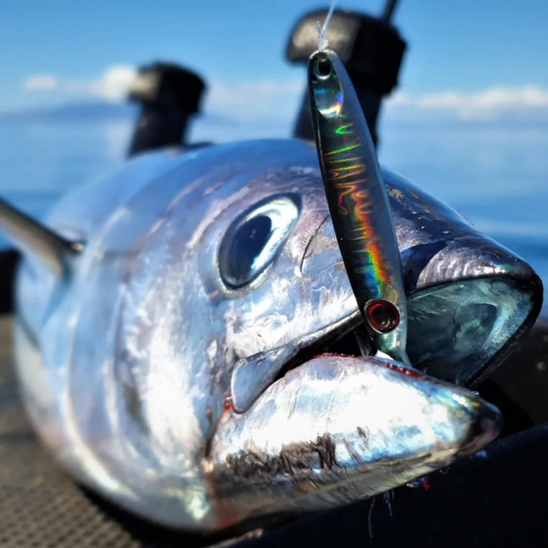 Catch Pocket Rocket Tungsten Micro Jig - Shady Lady