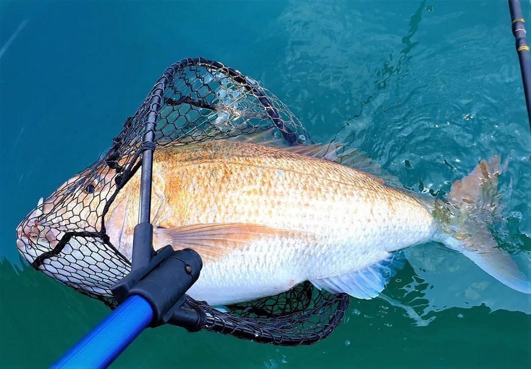 Catch Pocket Rocket Tungsten Micro Jig - Shady Lady