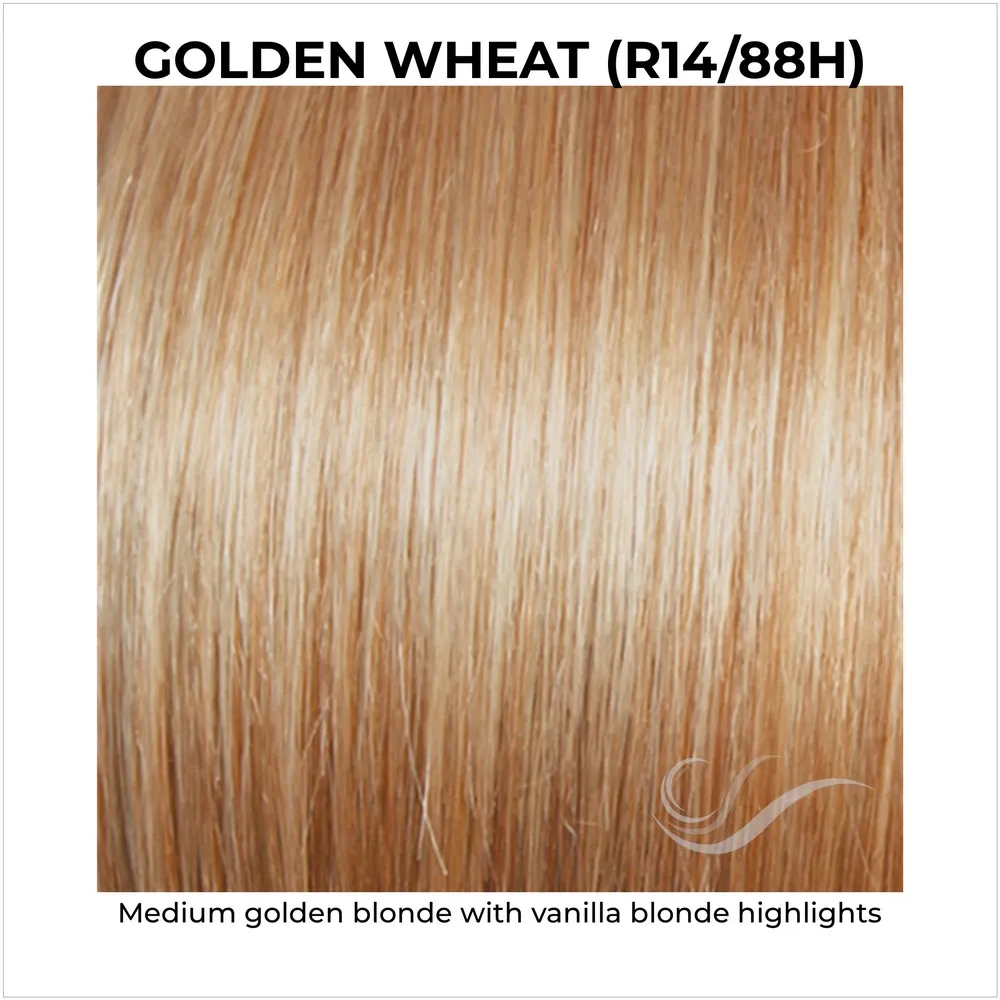 Center Stage by Raquel Welch (100% Hand Tied Lace Front-Mono Top Wig)