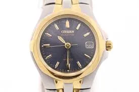 Citizen Women's EW0044-51L Eco-Drive Two-Tone Stainless Steel Watch