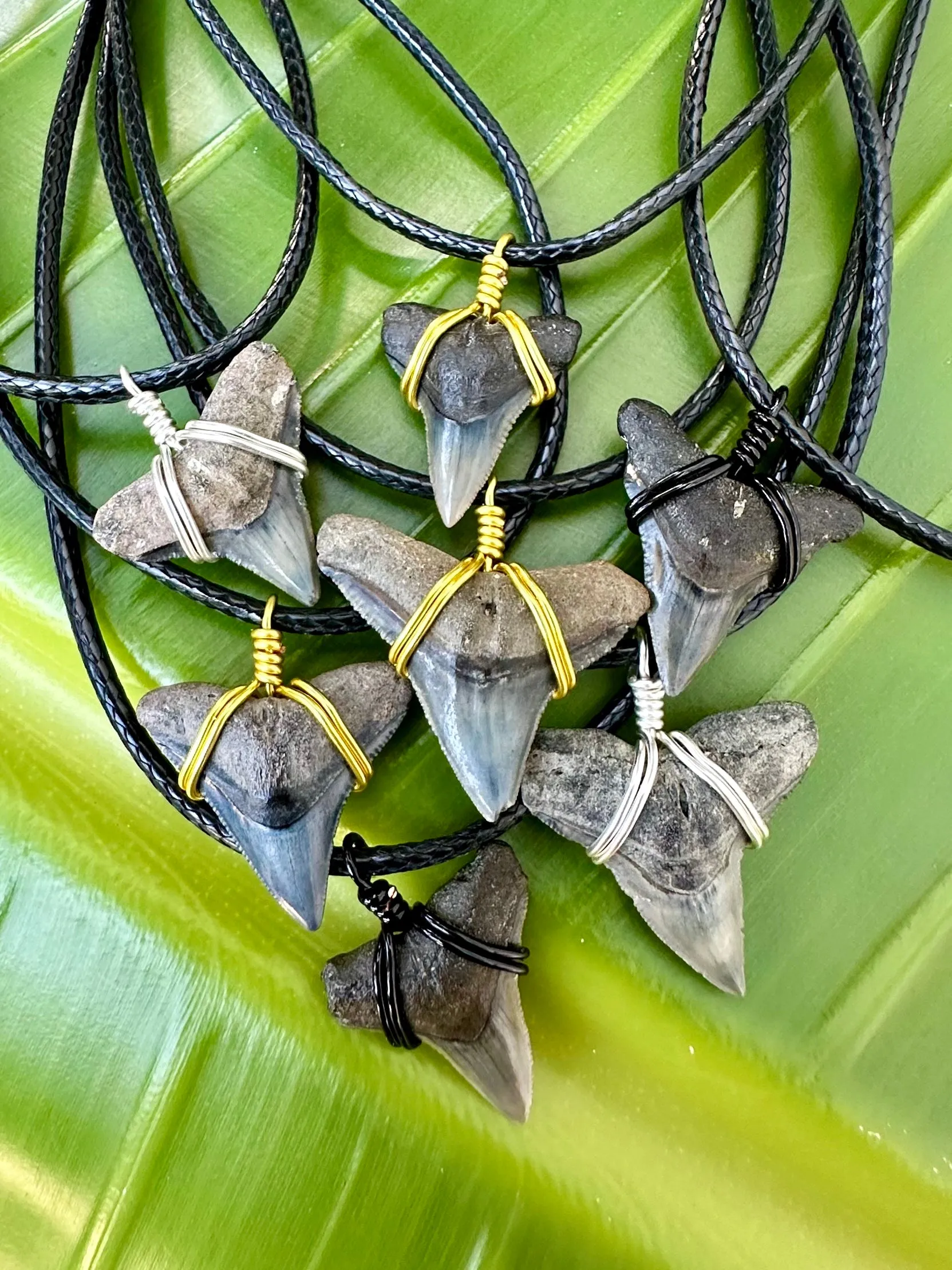 Classic Bull Shark Necklace