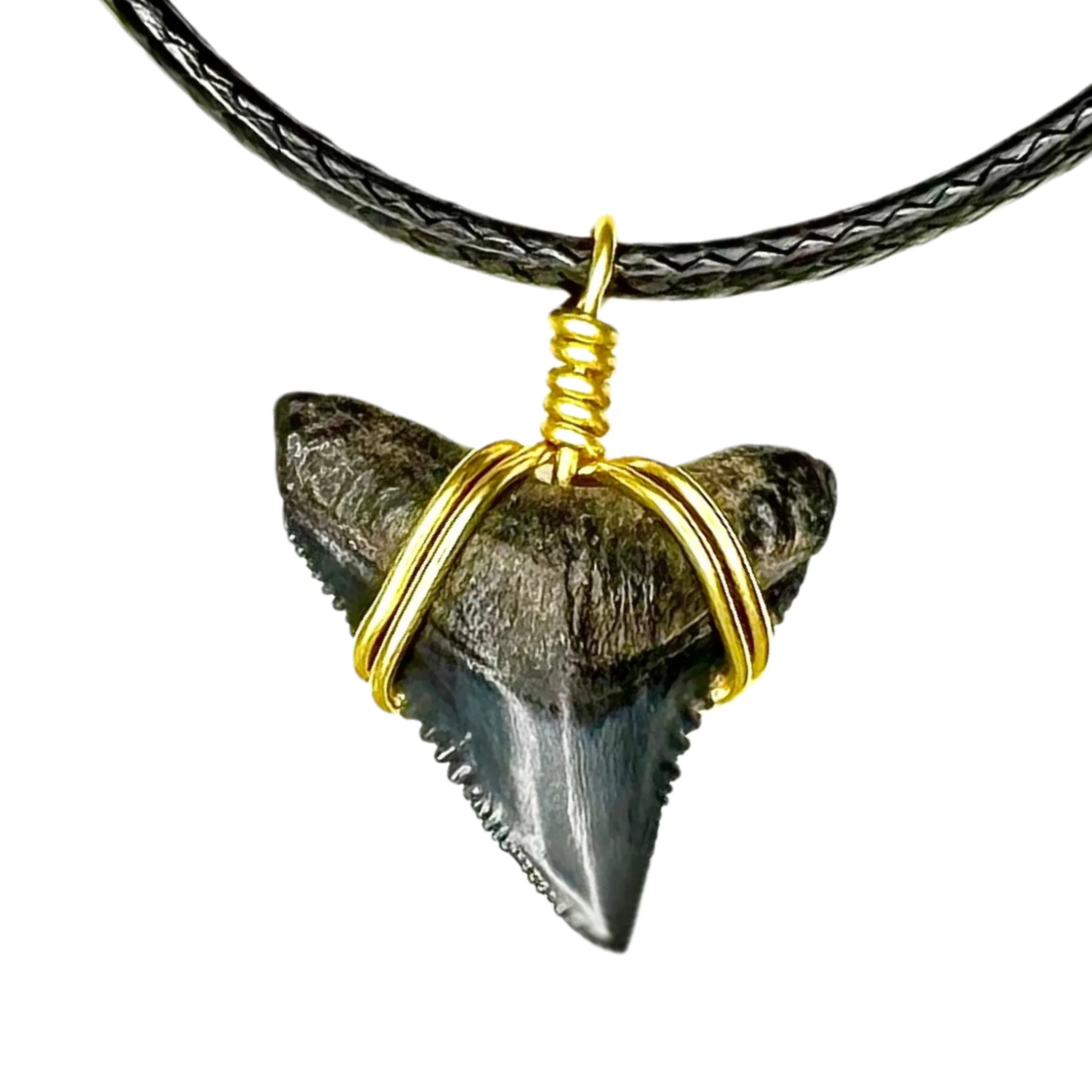 Classic Bull Shark Necklace