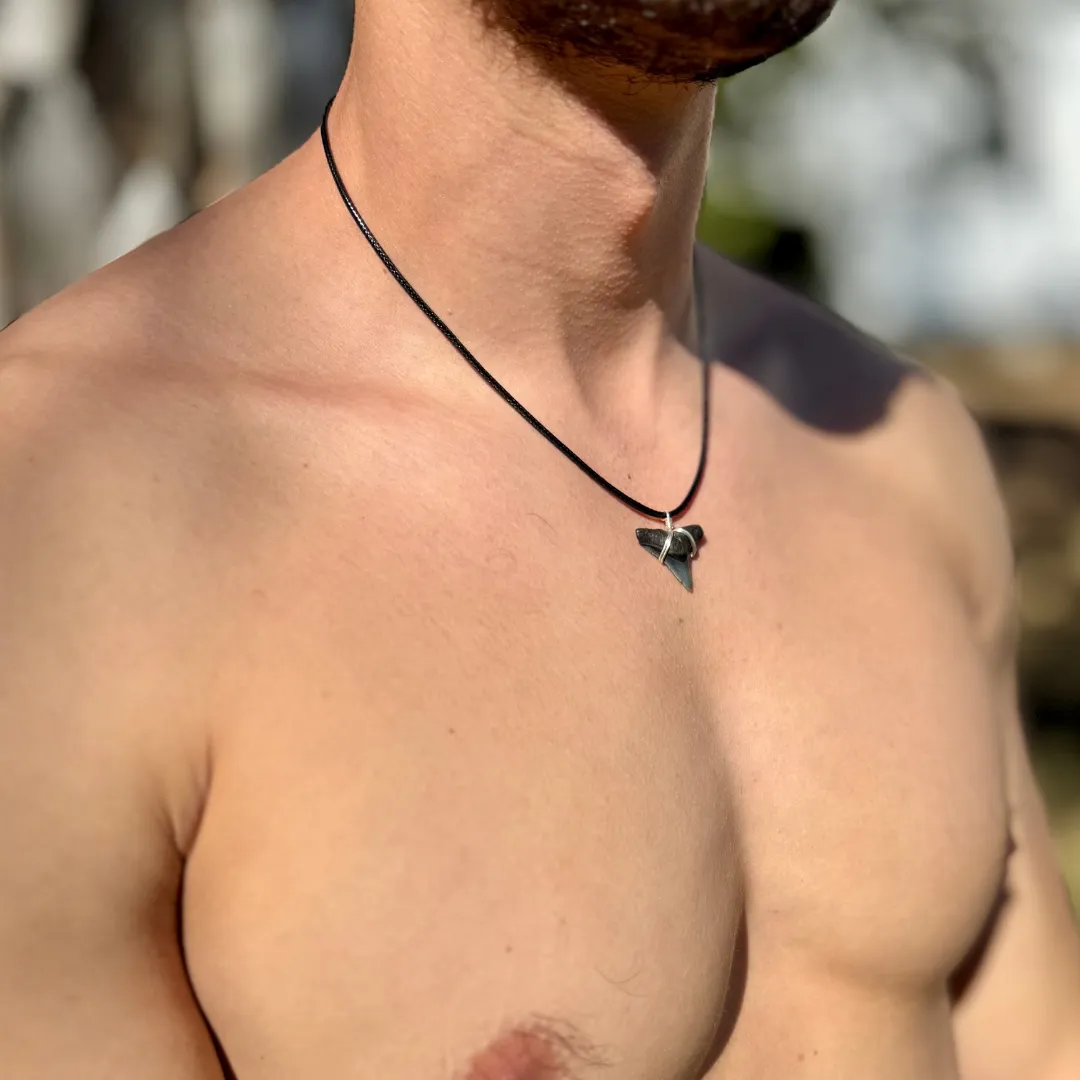 Classic Bull Shark Necklace