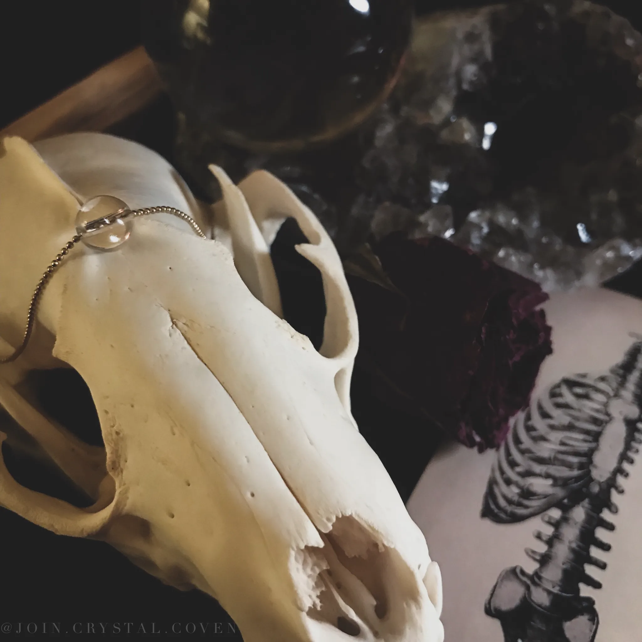 Clear Quartz Crystal Ball Necklace