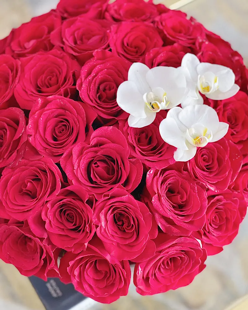 Coco's Fleurs