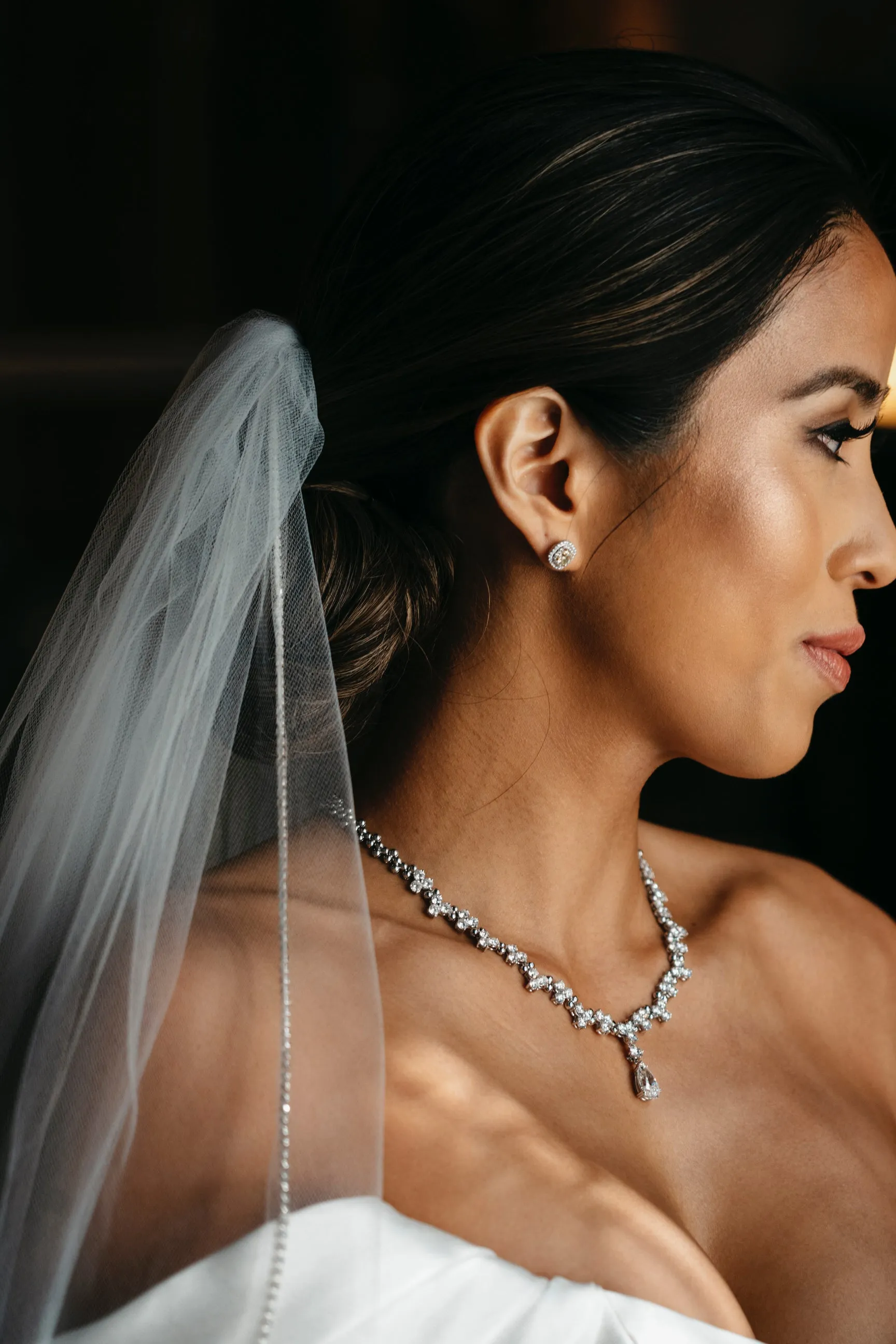 Crystal Trimmed Cathedral Length Wedding Veil