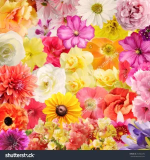 Digital Painting of Colourful Floral  Backdrop