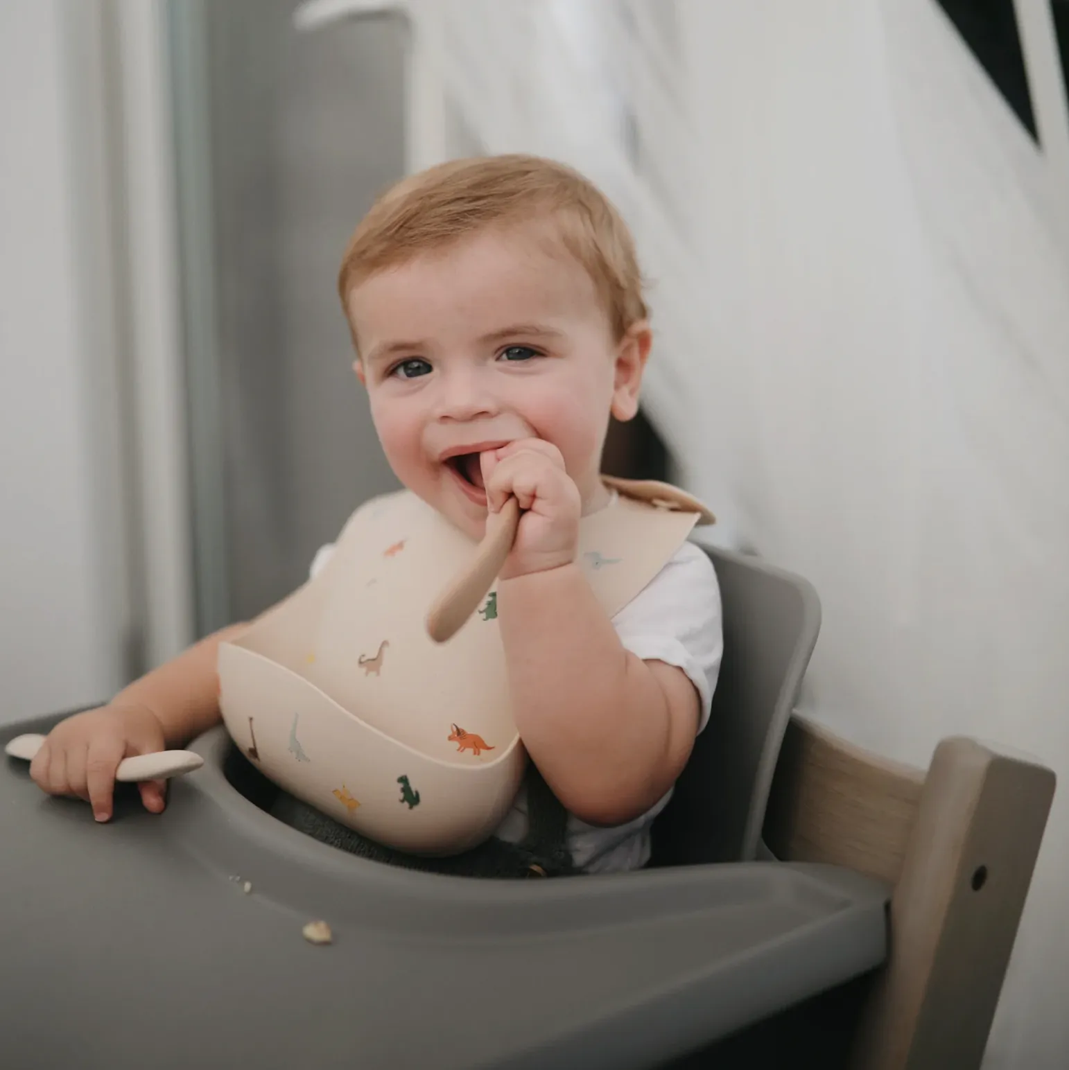 Dinosaurs Silicone Bib - LAST ONE