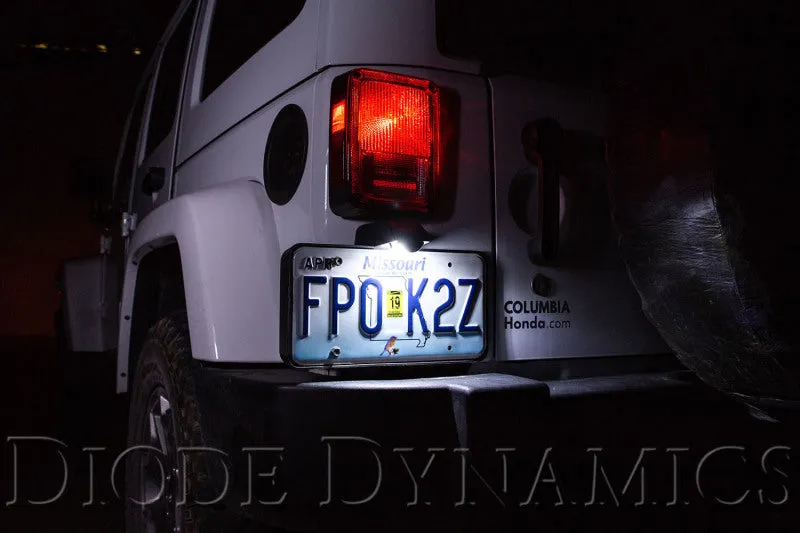 Diode Dynamics 194 LED Bulb HP5 LED - Cool - White (Single)