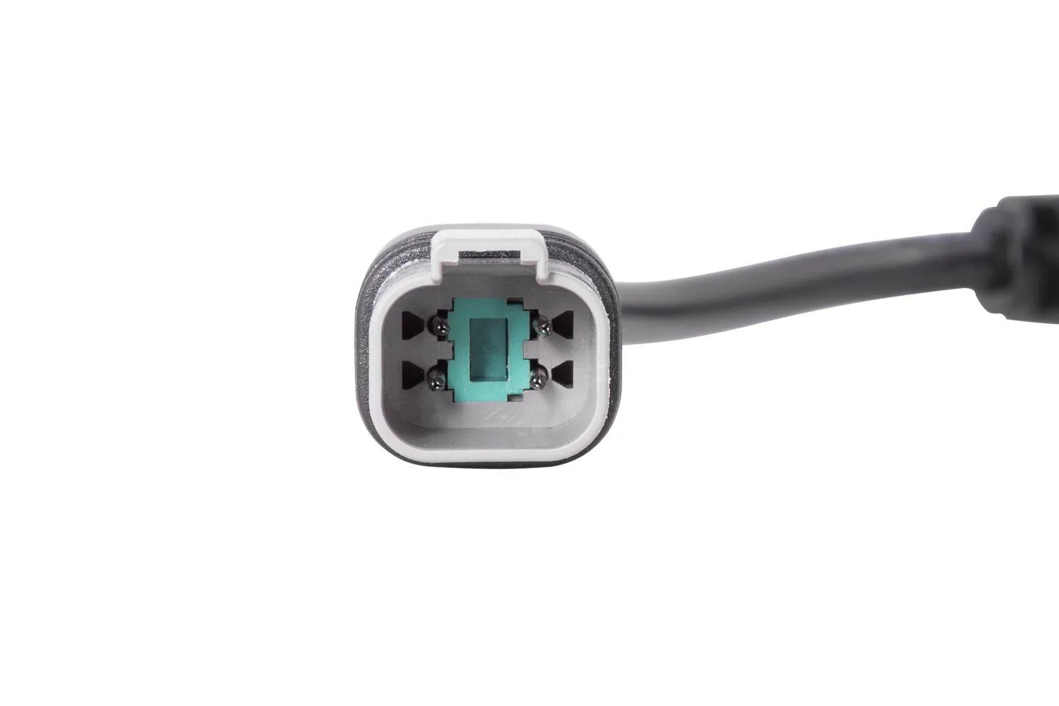Diode Dynamics - Deutsch DT 4-Pin Splitter Wire