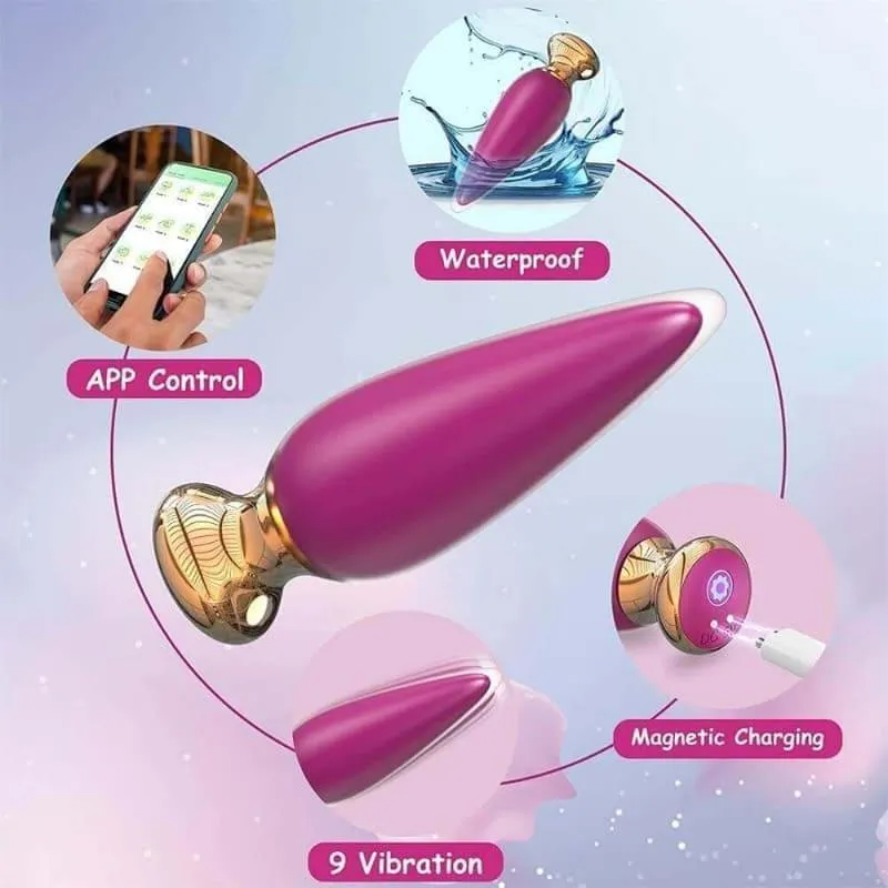 Ditto - App & Remote Controlled Luxury Rechargeable Vibrating Butt Plug 4.8 Inch