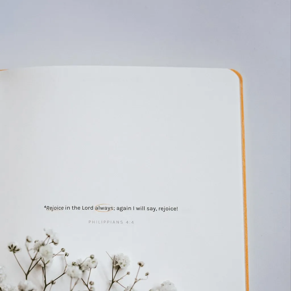 Dive Deep: Philippians | Journal