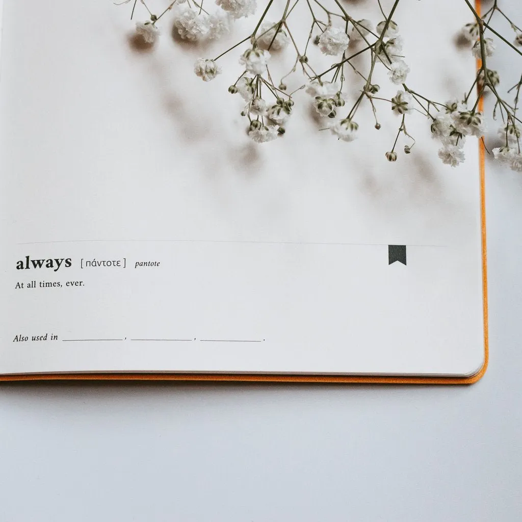 Dive Deep: Philippians | Journal