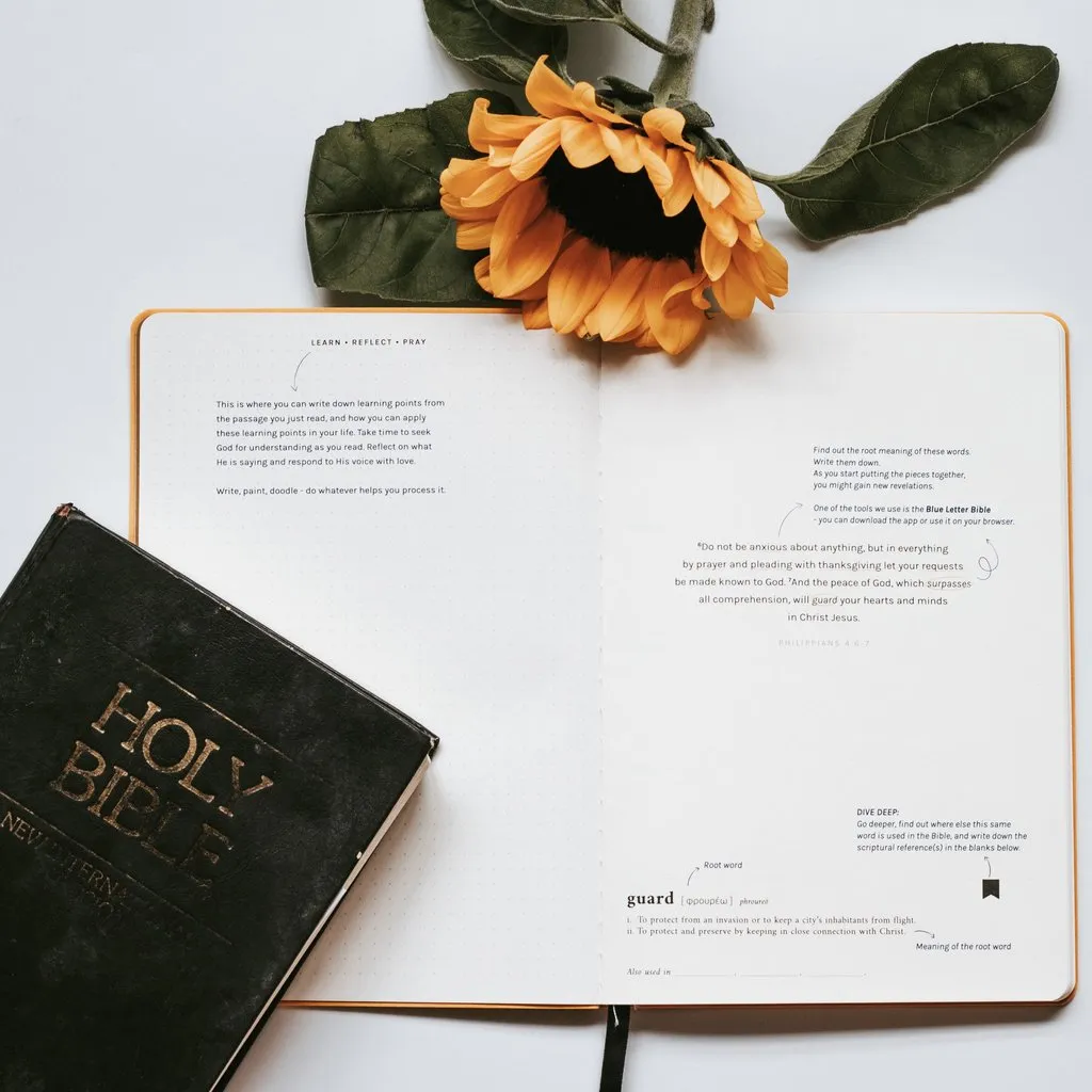 Dive Deep: Philippians | Journal