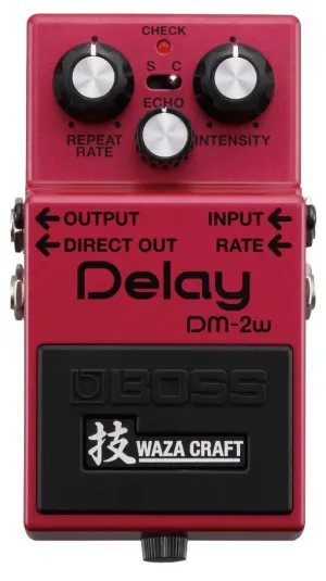 DM-2W (Delay)