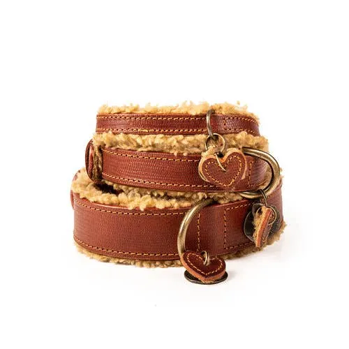 Dog With A Mission - Teddy Dog Collar
