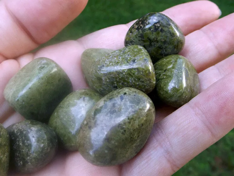 Epidote in Quartz tumbles | 2pcs