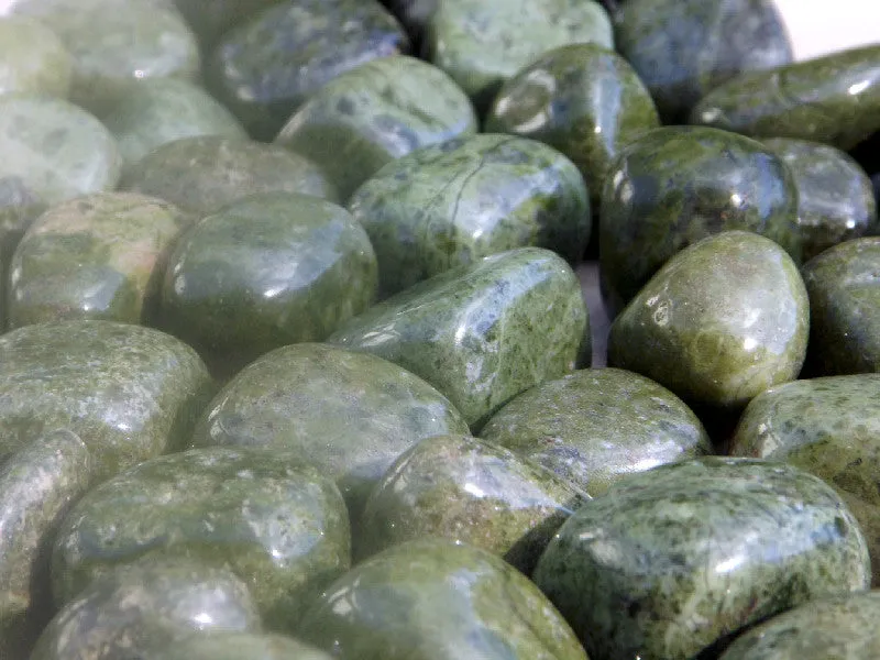 Epidote in Quartz tumbles | 2pcs