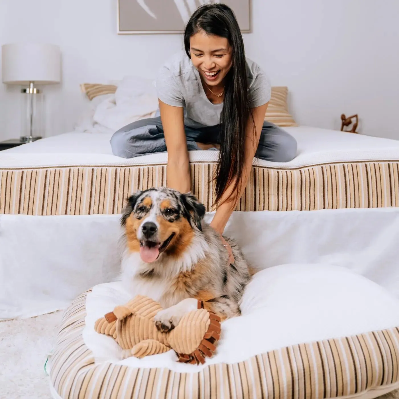 Essentia Classic REM5 Organic TWIN Mattress for Adult