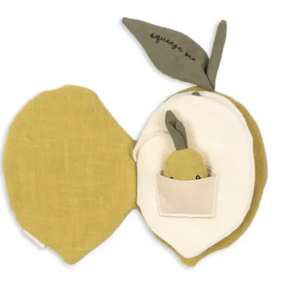 Fabric Lemon Interactive Book