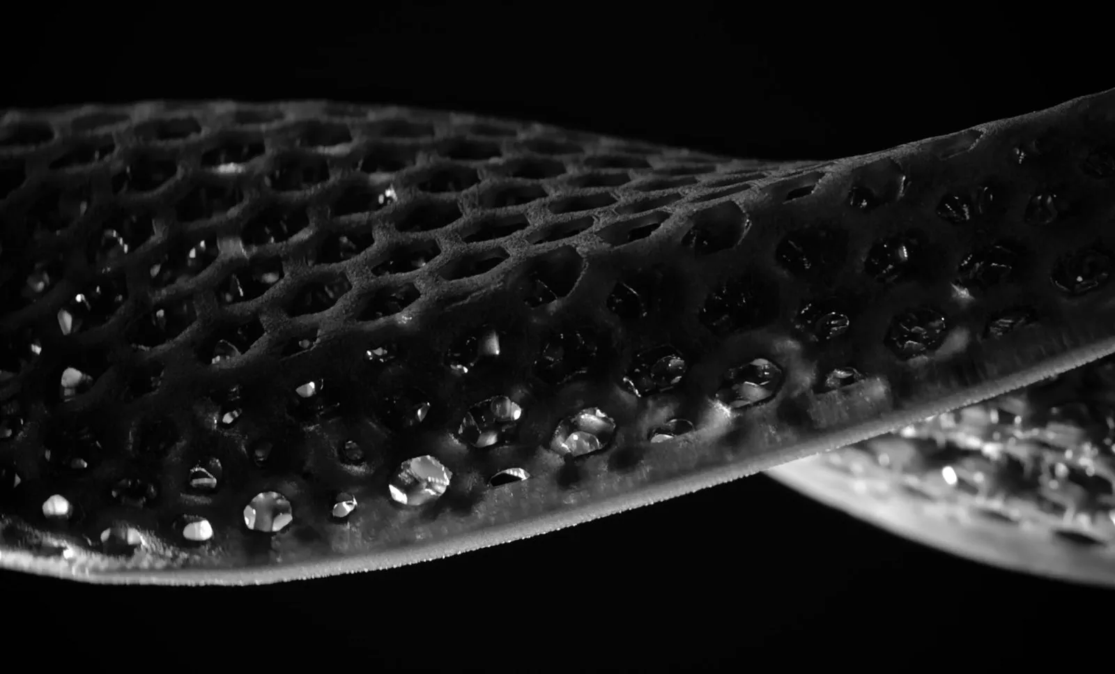 Fizik Adaptive 00 Vs Evo 3D Printed Carbon Road Saddle