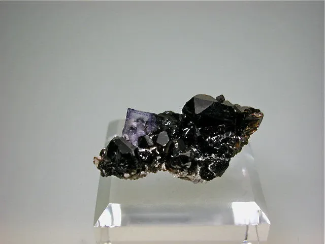 Fluorite and Sphalerite, Rosiclare Level, North-End, Denton Mine, Ozark-Mahoning Company, Harris Creek District, Southern Illinois 1.5 x 1.7 x 3.5 cm $25. Online August 1 SOLD