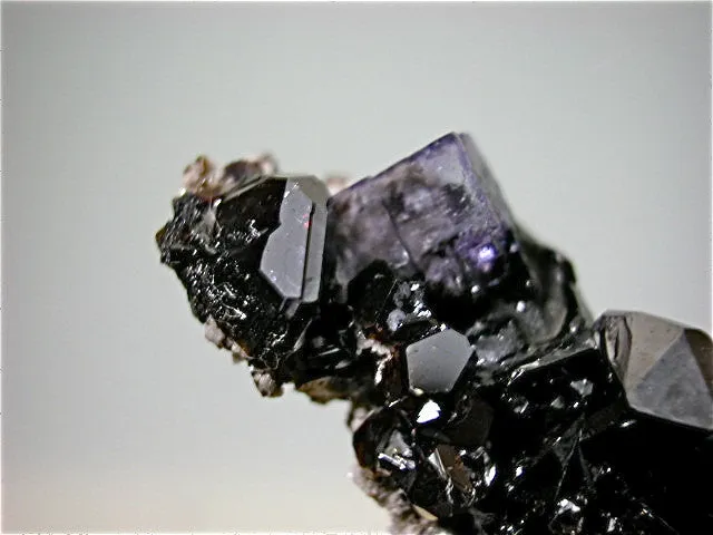 Fluorite and Sphalerite, Rosiclare Level, North-End, Denton Mine, Ozark-Mahoning Company, Harris Creek District, Southern Illinois 1.5 x 1.7 x 3.5 cm $25. Online August 1 SOLD