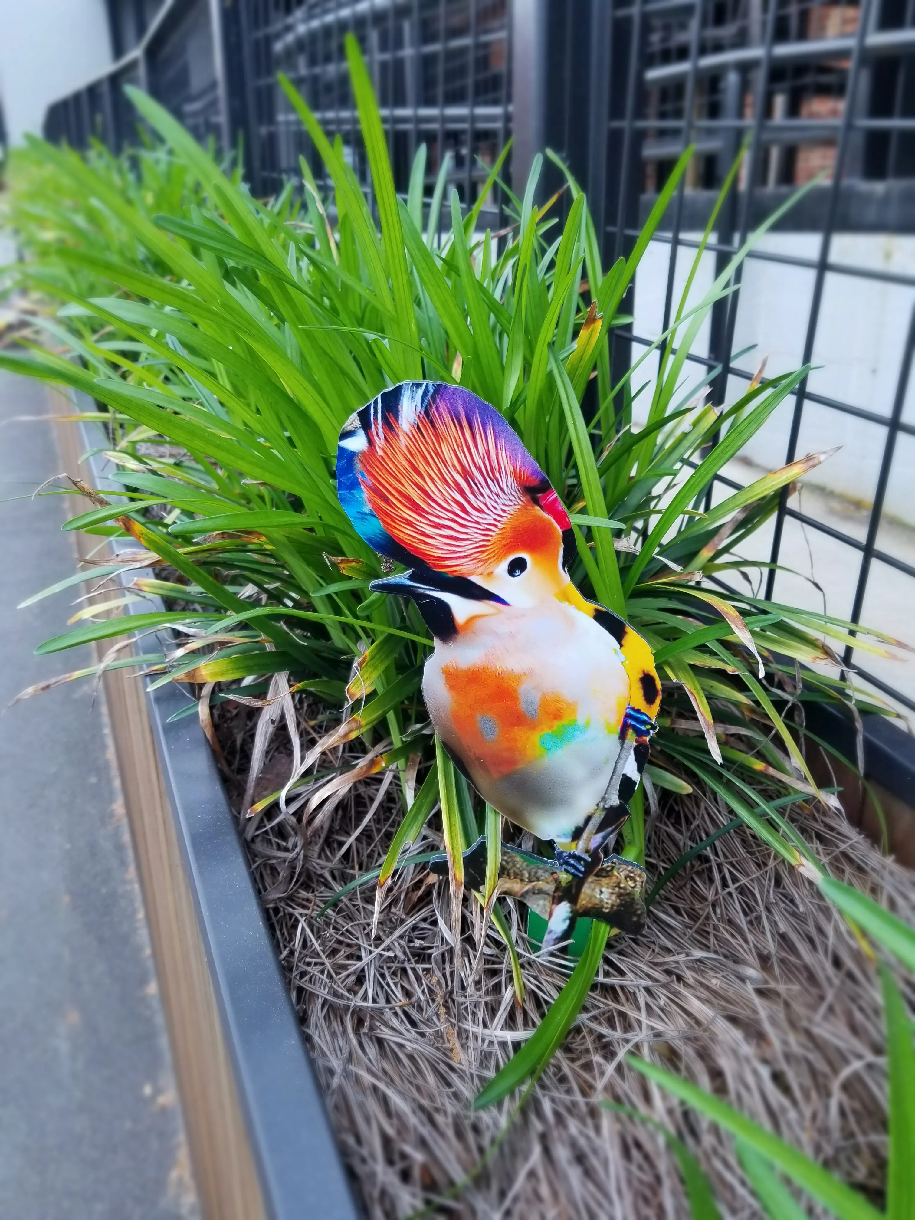 Garden Art (small) - Freedom Song Bird #3