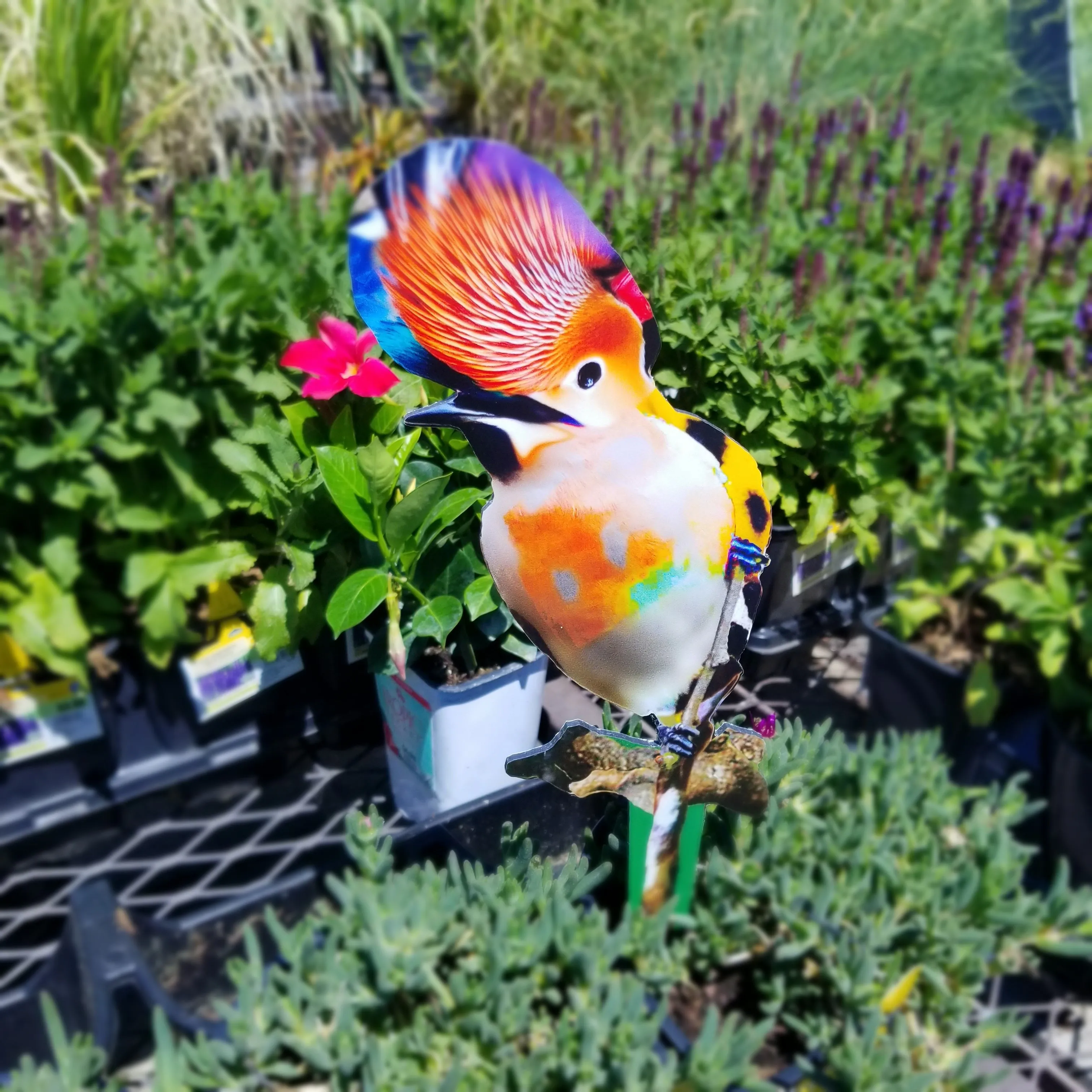 Garden Art (small) - Freedom Song Bird #3
