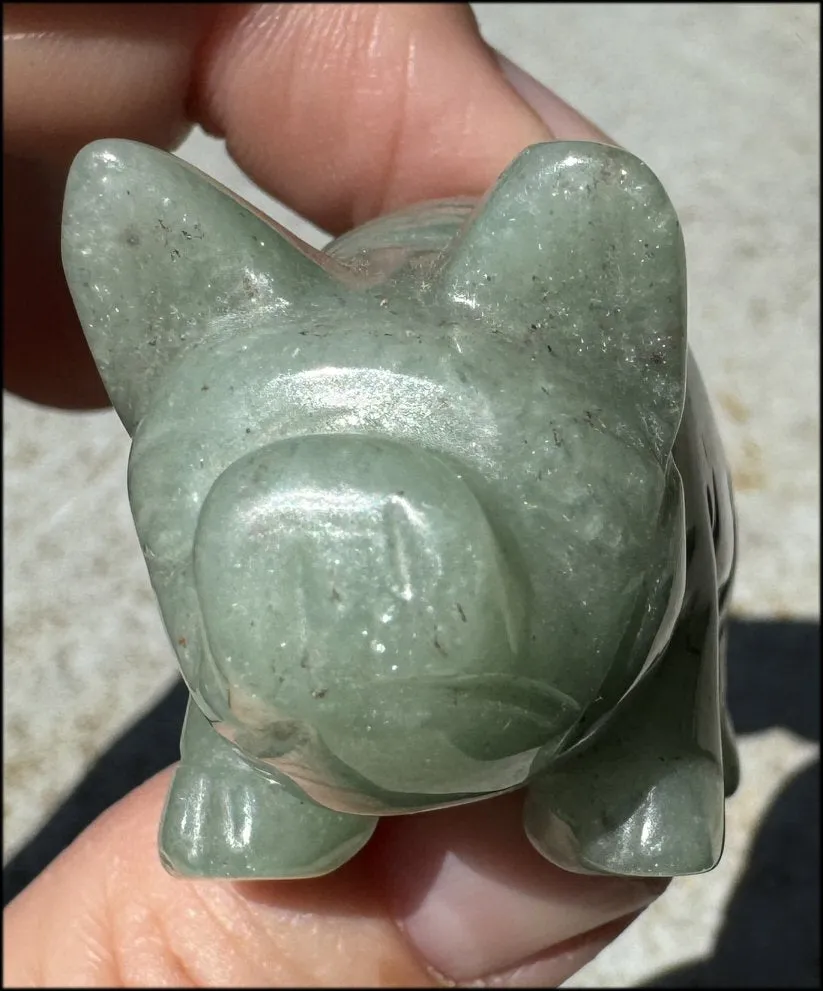 Green Aventurine PIG Totem - Get moving after being stuck!- with Synergy 8  years