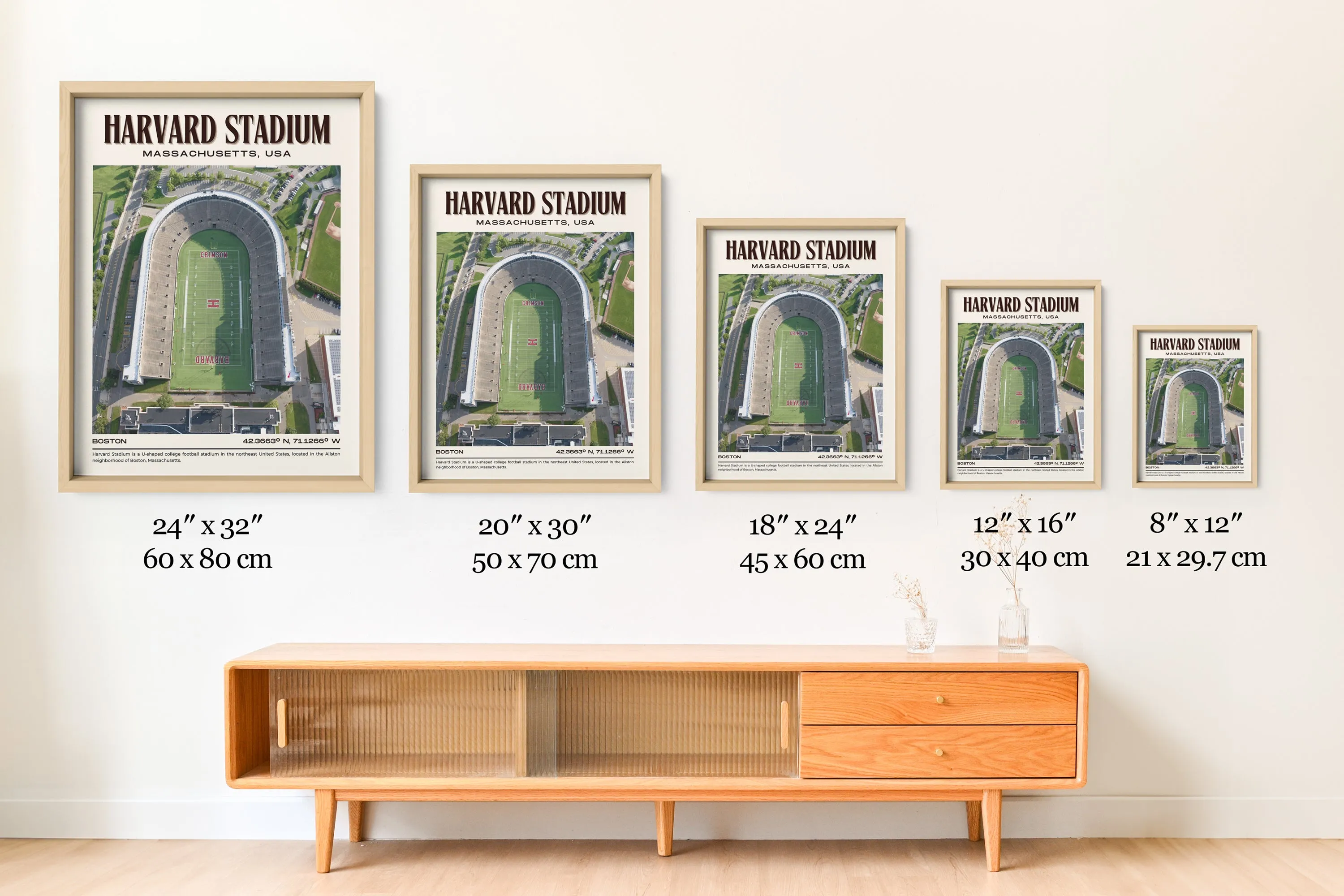 Harvard Stadium Football Retro Wall Art
