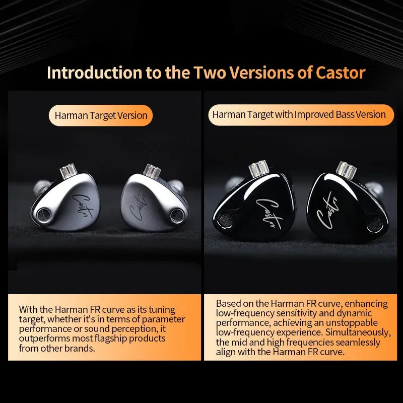 High-end In-Ear HiFi Earphone - 2DD Dynamic   Balanced Armature, Monitor Headphone with Noise Cancelling Earbuds