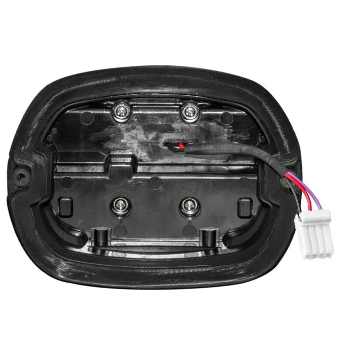 HOGWORKZ® Black Ignitez™ LED Taillight w/ Plate Light