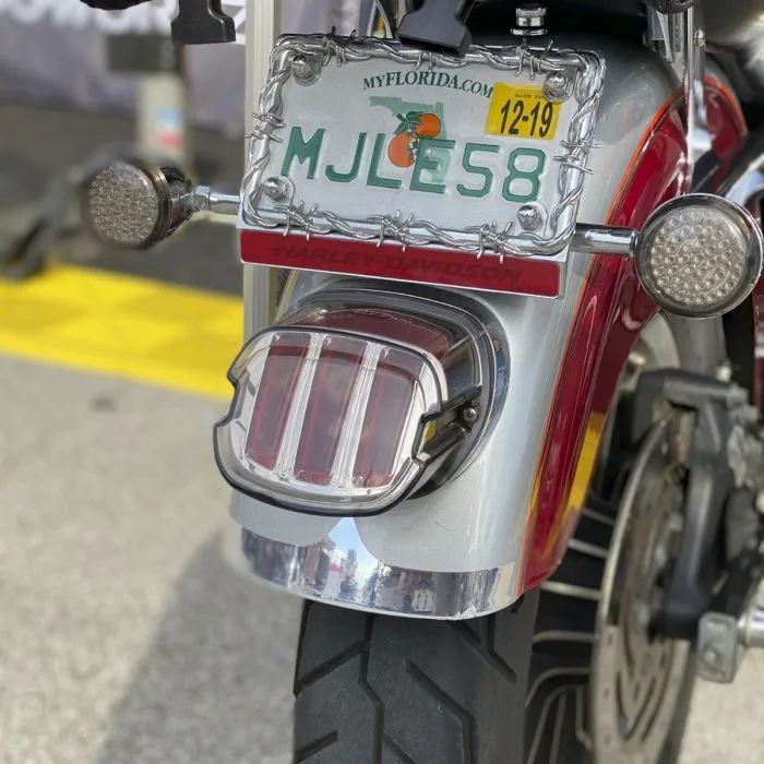 HOGWORKZ® Ignitez LED Taillight w/ Plate Light | Chrome