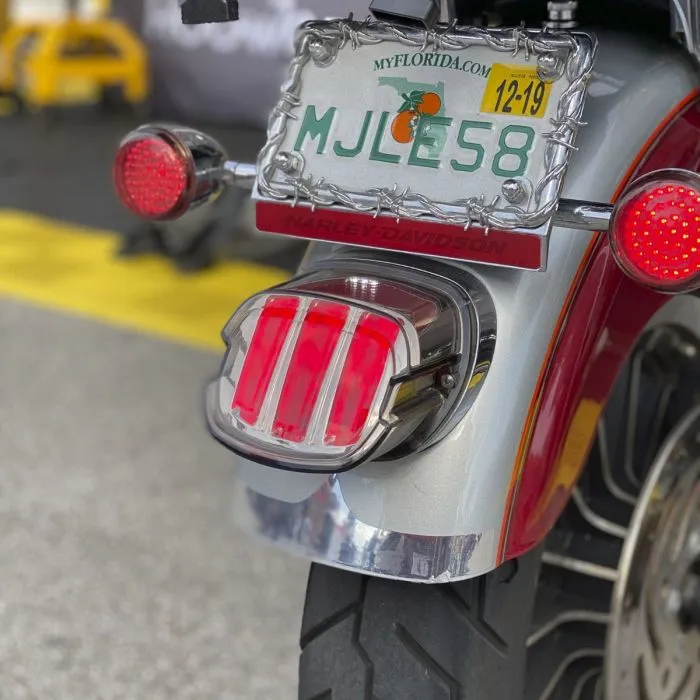 HOGWORKZ® Ignitez LED Taillight w/ Plate Light | Chrome