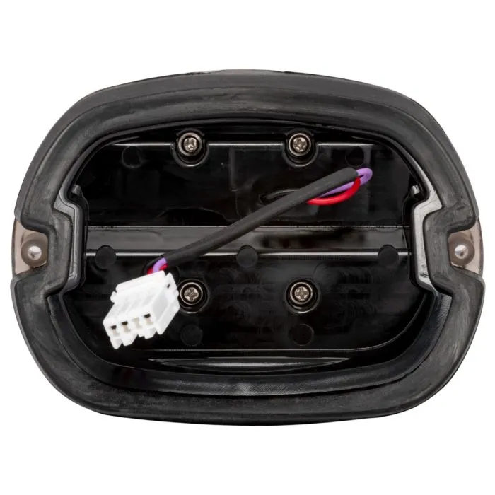 HOGWORKZ® Ignitez LED Taillight w/ Plate Light | Chrome