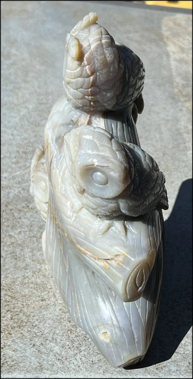 HUGE 7lbs  Dendritic Agate OWL Family Carving with Moss Agate inclusions