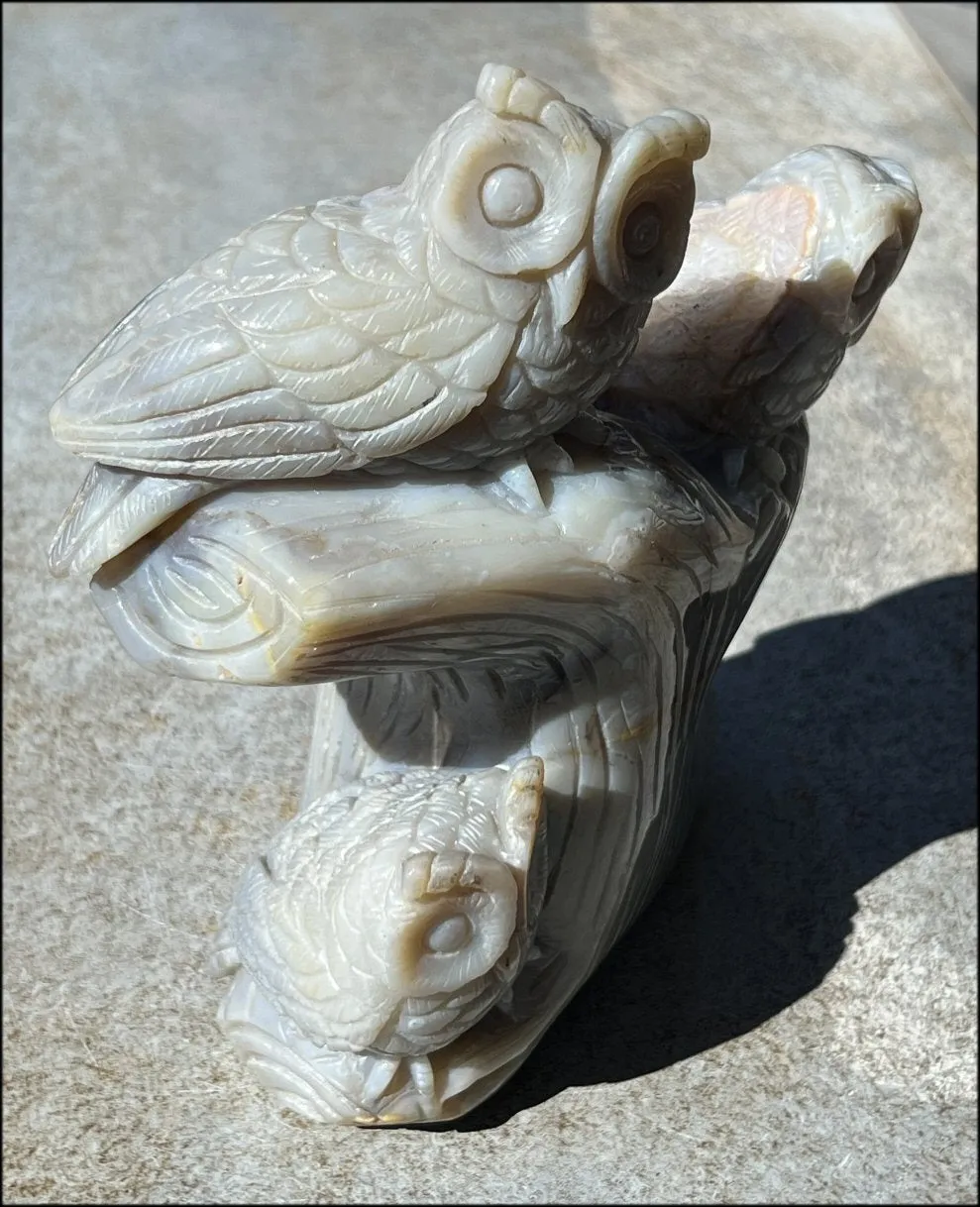 HUGE 7lbs  Dendritic Agate OWL Family Carving with Moss Agate inclusions