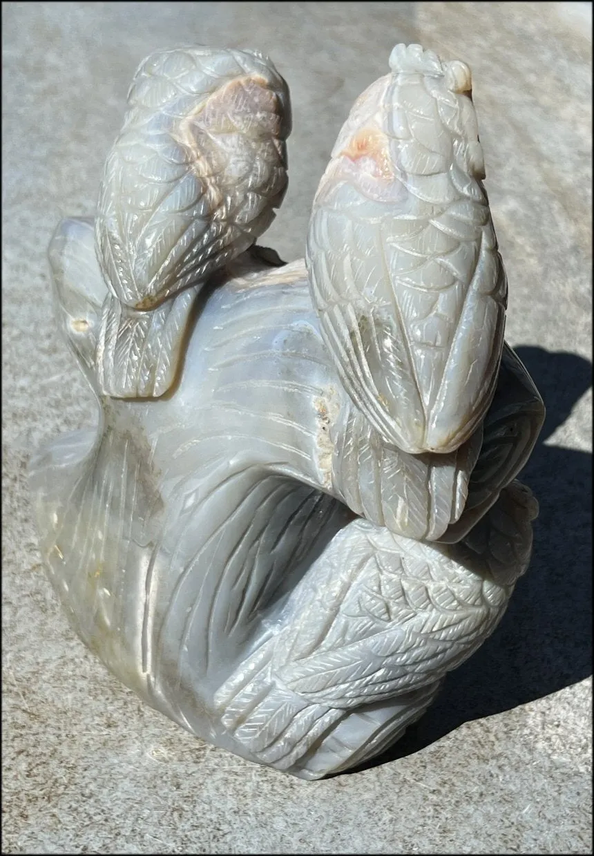 HUGE 7lbs  Dendritic Agate OWL Family Carving with Moss Agate inclusions