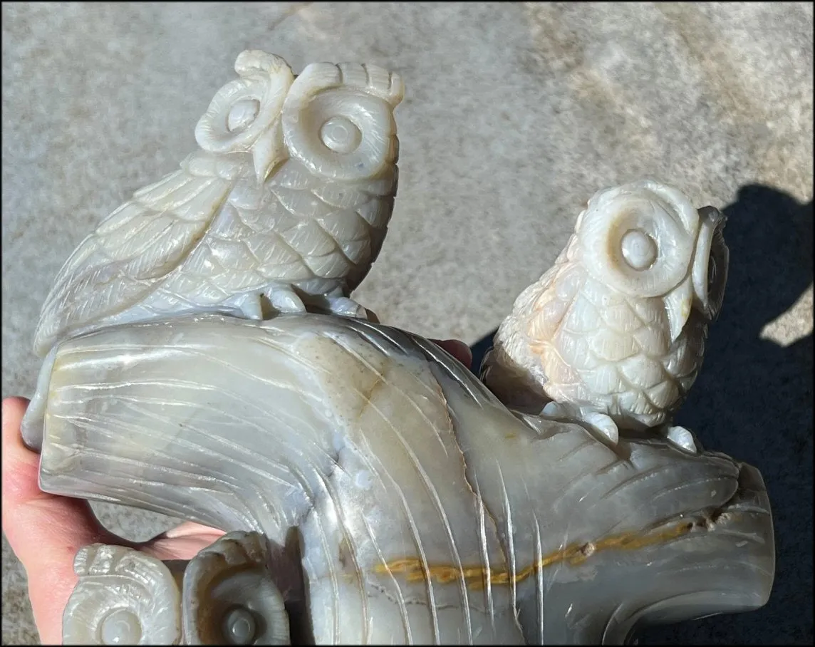 HUGE 7lbs  Dendritic Agate OWL Family Carving with Moss Agate inclusions