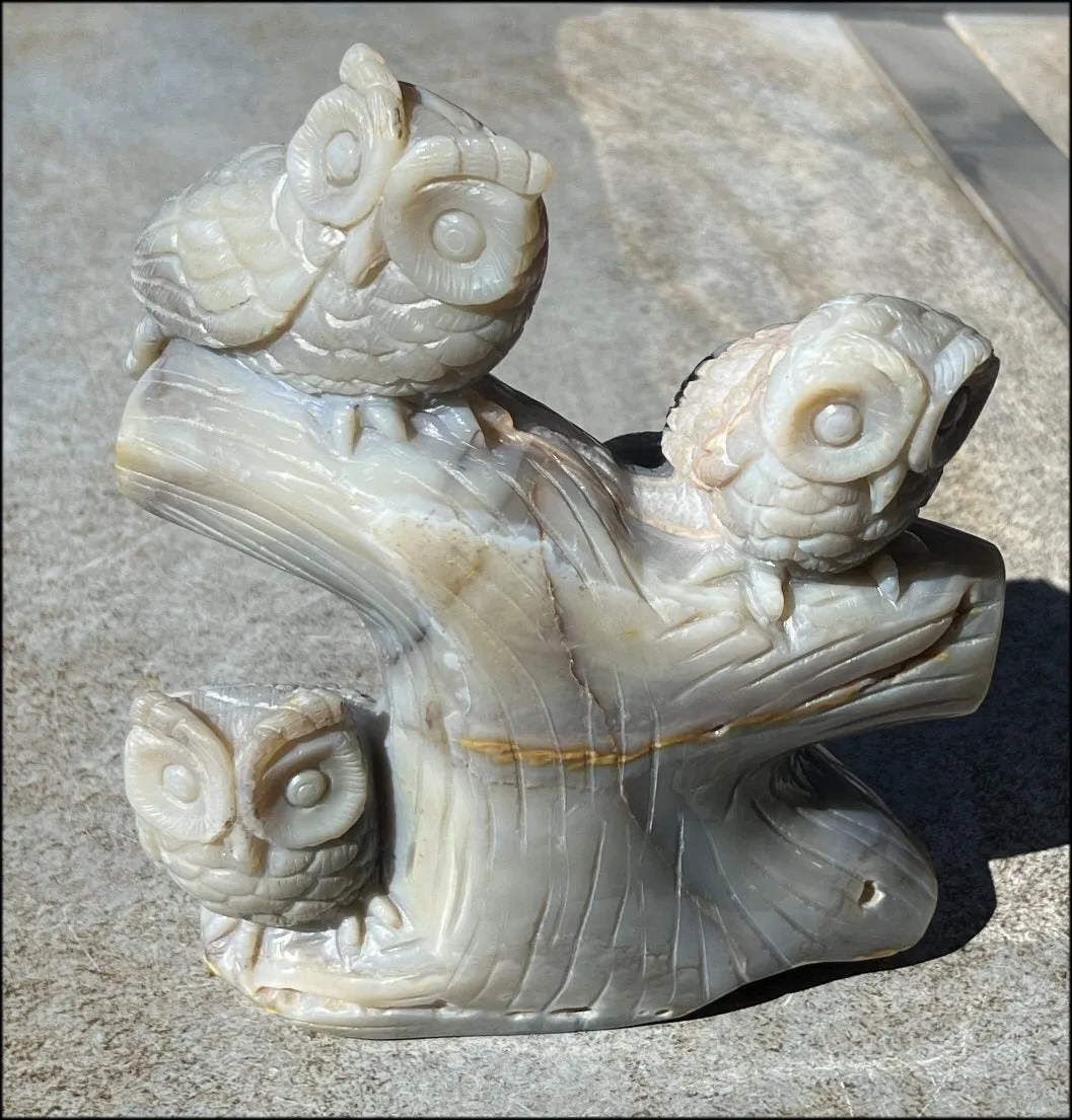 HUGE 7lbs  Dendritic Agate OWL Family Carving with Moss Agate inclusions