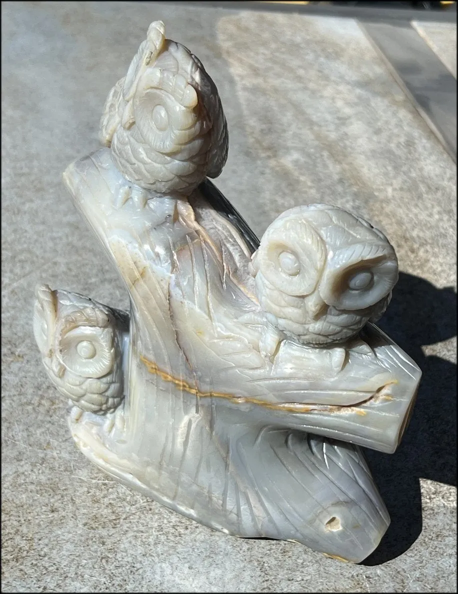 HUGE 7lbs  Dendritic Agate OWL Family Carving with Moss Agate inclusions