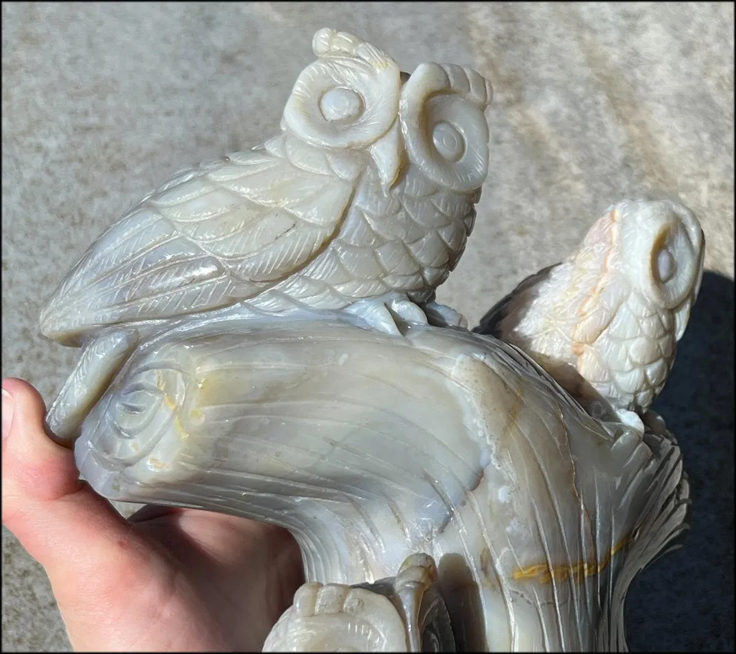 HUGE 7lbs  Dendritic Agate OWL Family Carving with Moss Agate inclusions