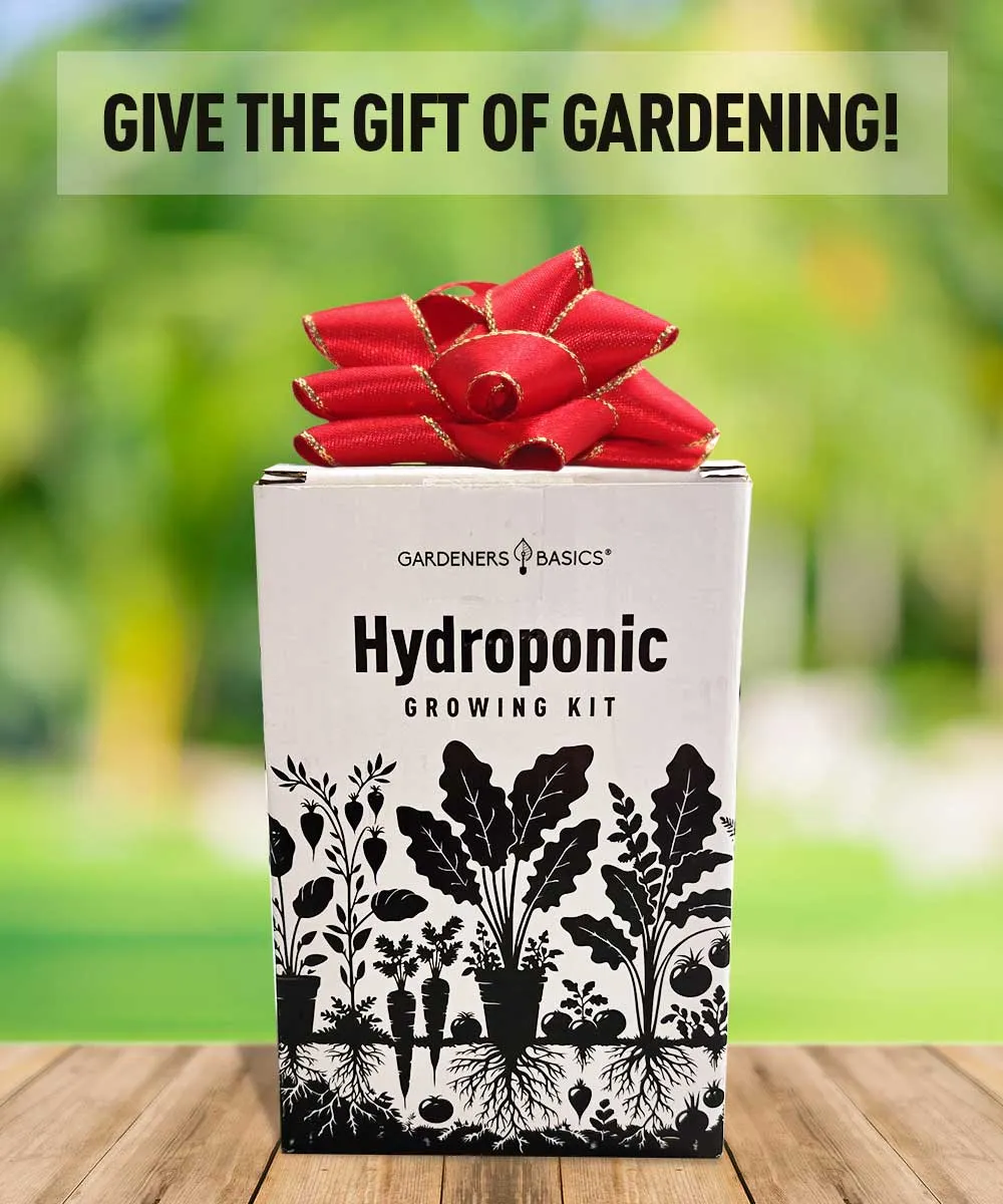 Hydroponic Pepper Growing Kit