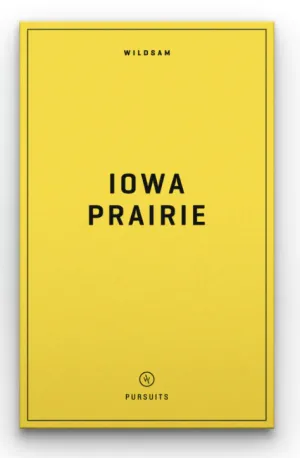 Iowa Prairie - Pursuits