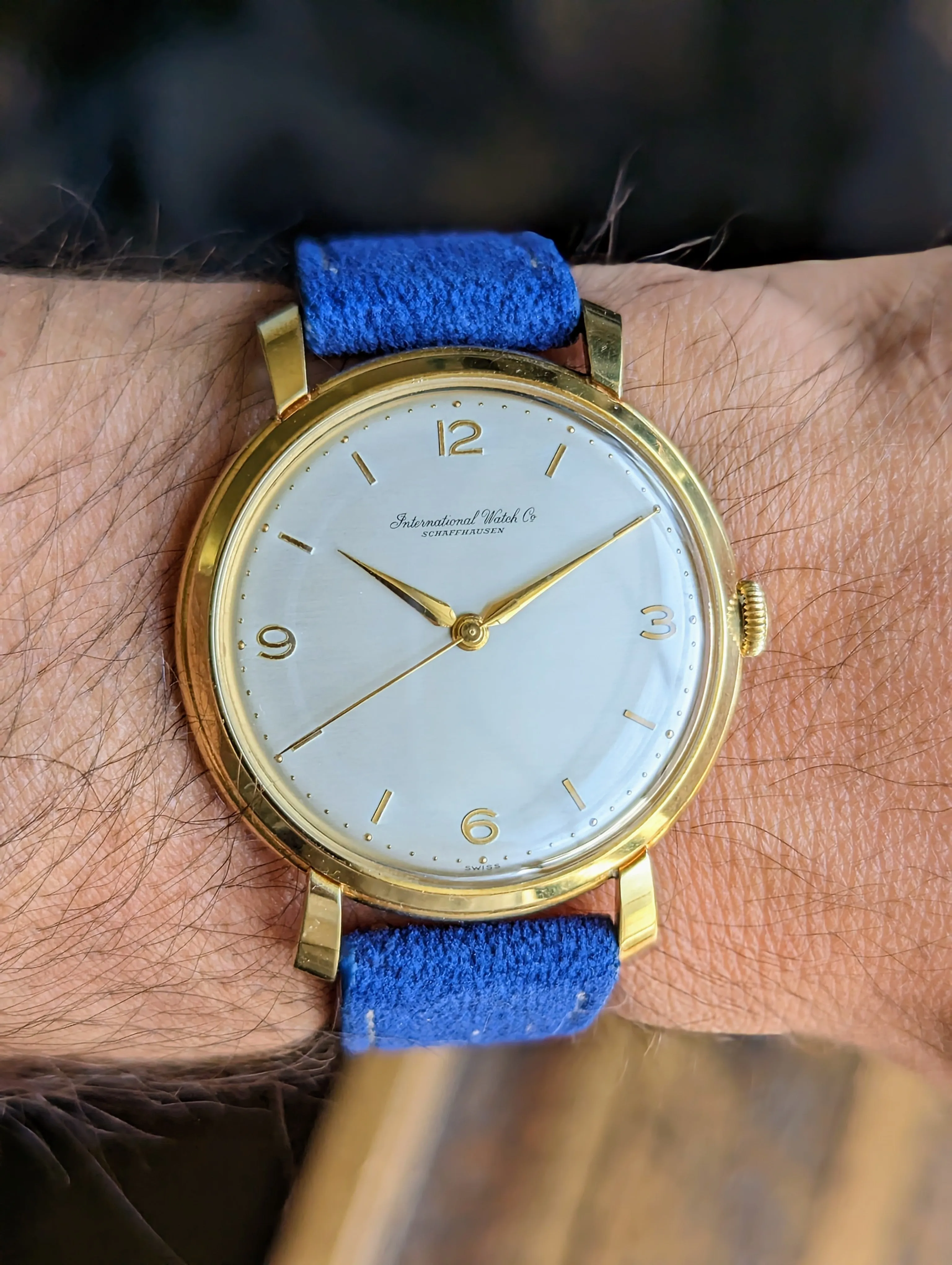 IWC Ribbon Lug - Serviced w/ 1yr warranty