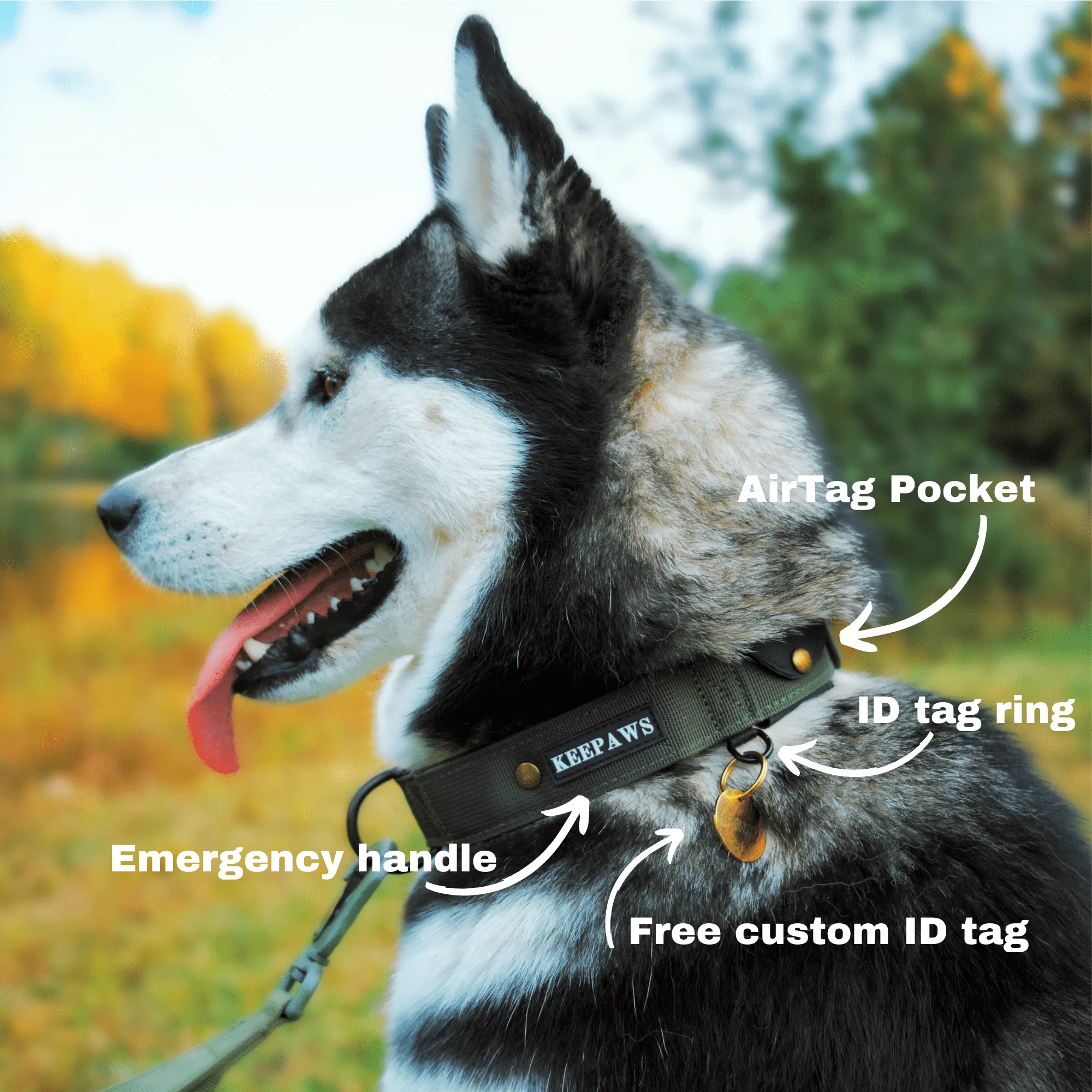 Keepaws™ Tactical AirTag Collar