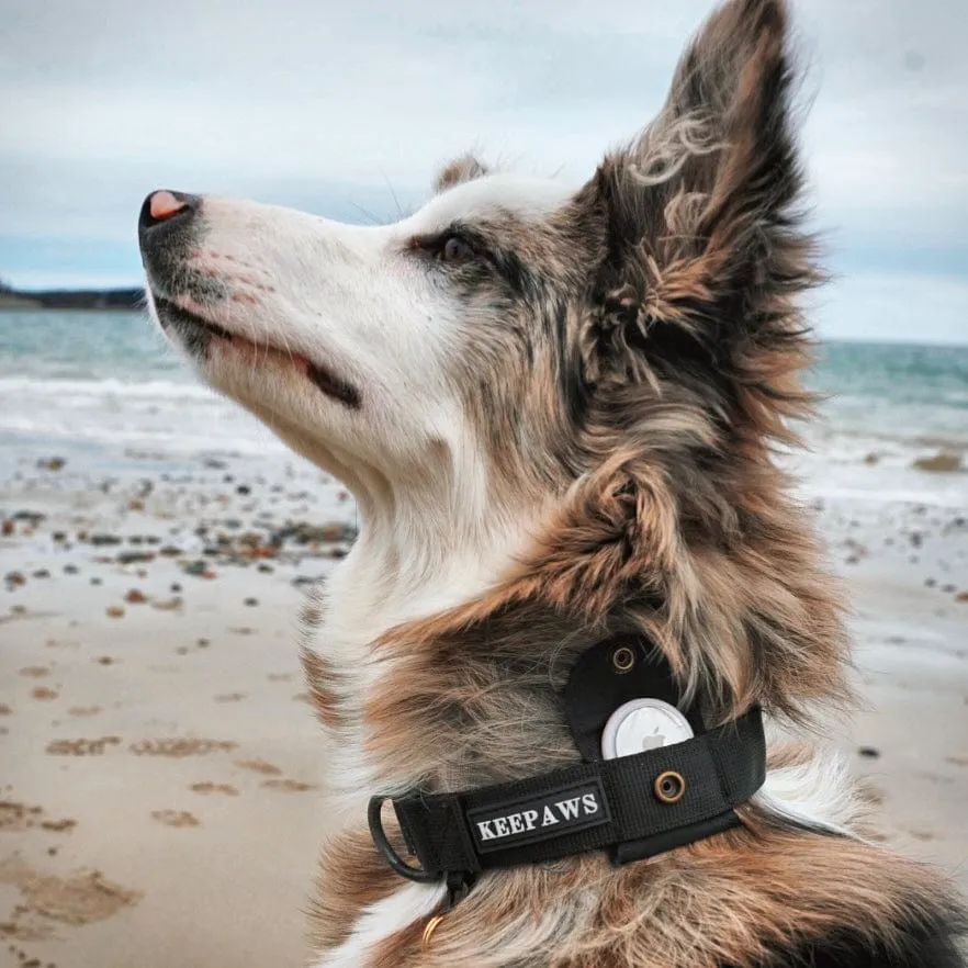 Keepaws™ Tactical AirTag Collar