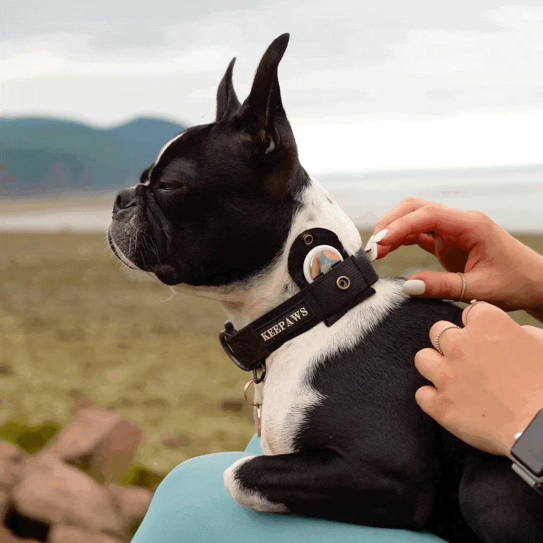 Keepaws™ Tactical AirTag Collar