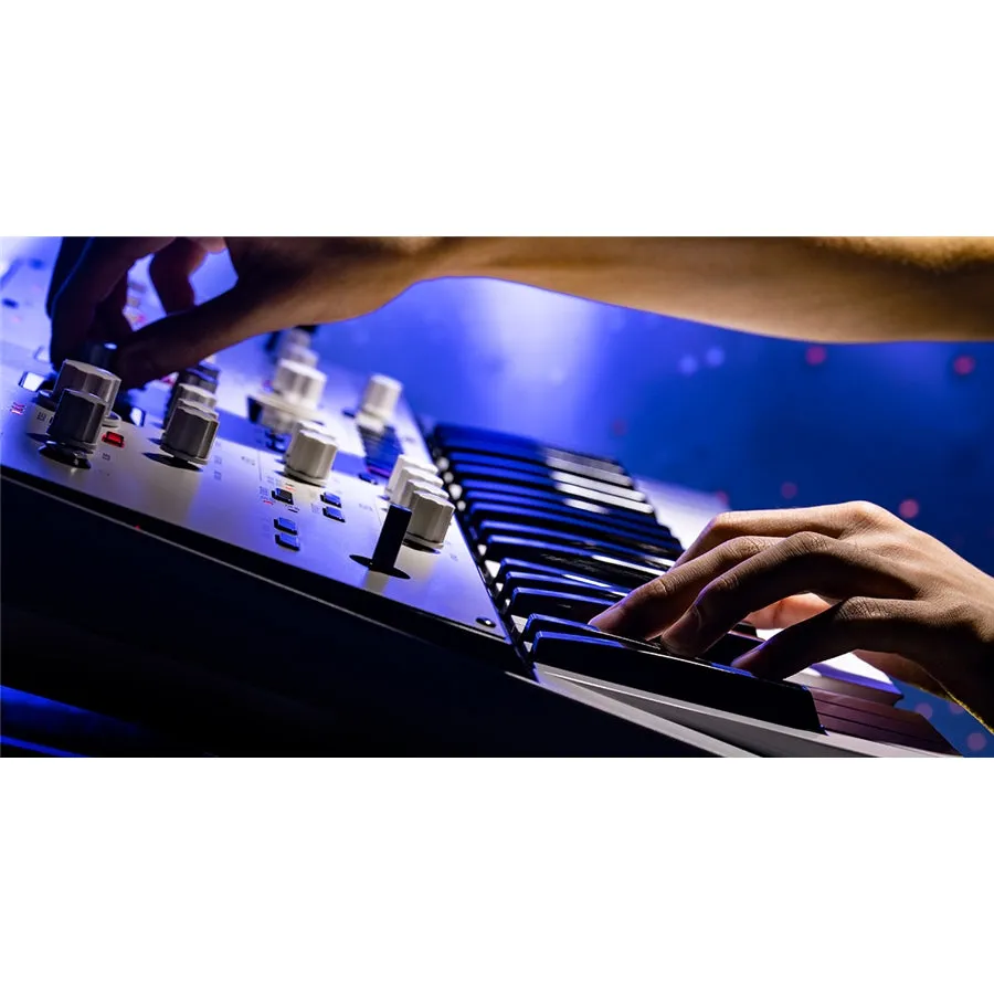KINGKORG NEO